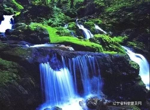 习近平会见安提瓜和巴布达总理布朗