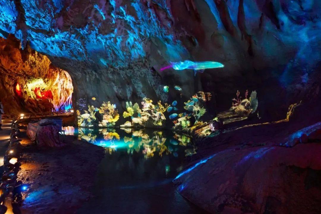 瑞德的冒险之旅中文版